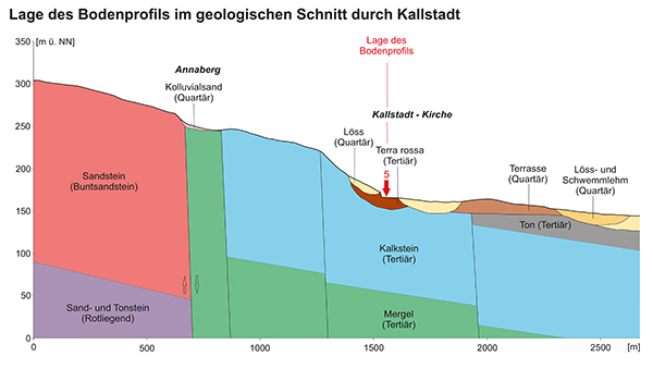 kallstadter saumagen1