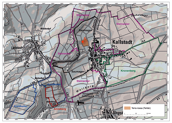 Kallstadter Saumagen