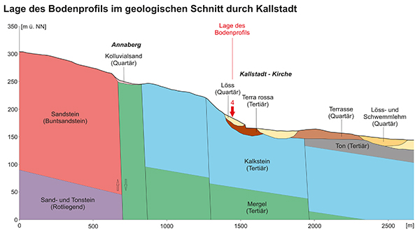 Kallstadter Saumagen