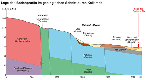 Kallstadter Kronenberg