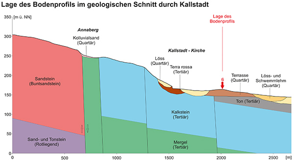 Kallstadter Steinacker